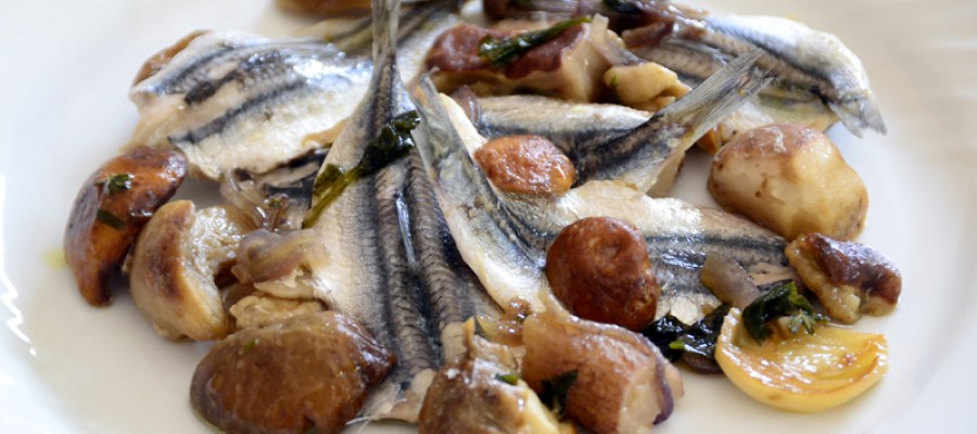 The Festival of Anchovies